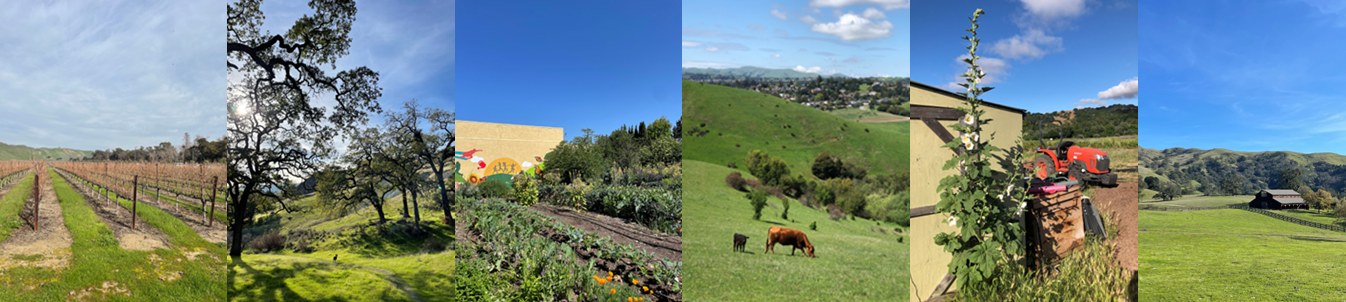photo collage of farm lands in alameda county